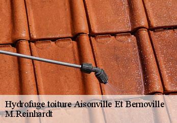 Hydrofuge toiture  aisonville-et-bernoville-02110 M.Reinhardt