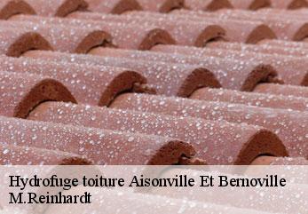 Hydrofuge toiture  aisonville-et-bernoville-02110 M.Reinhardt