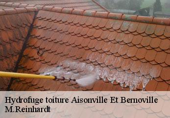 Hydrofuge toiture  aisonville-et-bernoville-02110 M.Reinhardt