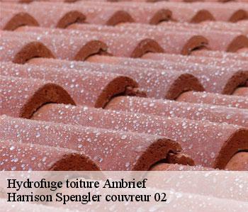 Hydrofuge toiture  ambrief-02200 Harrison Spengler couvreur 02