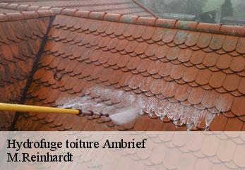 Hydrofuge toiture  ambrief-02200 M.Reinhardt