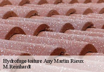 Hydrofuge toiture any-martin-rieux-02500 M.Reinhardt
