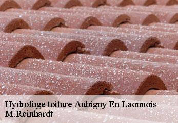 Hydrofuge toiture  aubigny-en-laonnois-02820 M.Reinhardt