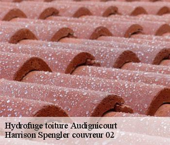 Hydrofuge toiture  audignicourt-02300 Harrison Spengler couvreur 02