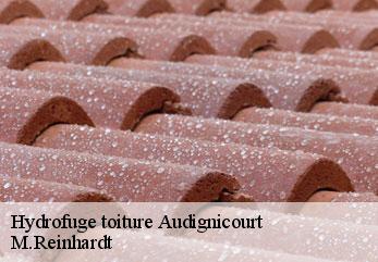 Hydrofuge toiture  audignicourt-02300 M.Reinhardt