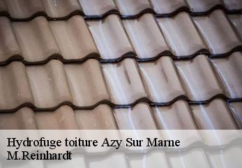Hydrofuge toiture azy-sur-marne-02400 M.Reinhardt