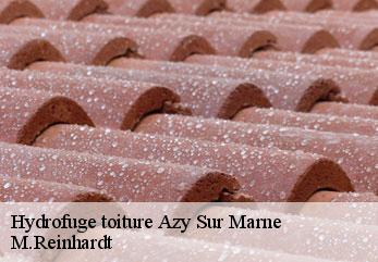 Hydrofuge toiture  azy-sur-marne-02400 M.Reinhardt