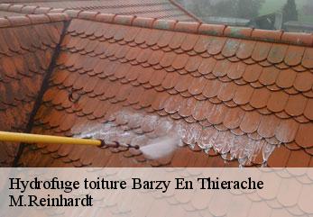 Hydrofuge toiture  barzy-en-thierache-02170 M.Reinhardt