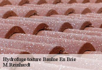 Hydrofuge toiture  baulne-en-brie-02330 M.Reinhardt