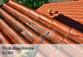 Hydrofuge toiture beaumont-en-beine-02300 M.Reinhardt