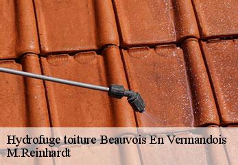 Hydrofuge toiture beauvois-en-vermandois-02590 M.Reinhardt