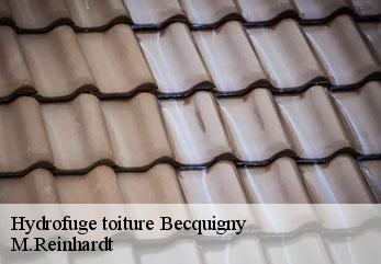 Hydrofuge toiture  becquigny-02110 M.Reinhardt
