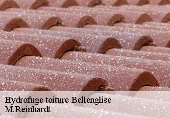 Hydrofuge toiture bellenglise-02420 M.Reinhardt