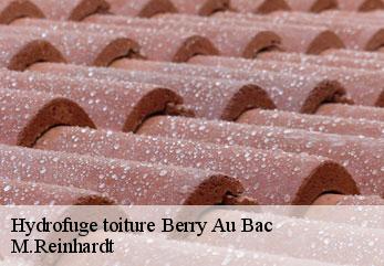 Hydrofuge toiture  berry-au-bac-02190 M.Reinhardt