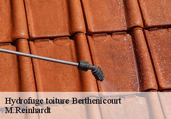 Hydrofuge toiture  berthenicourt-02240 M.Reinhardt