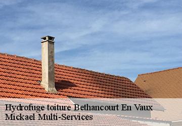 Hydrofuge toiture bethancourt-en-vaux-02300 Mickael Multi-Services