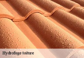 Hydrofuge toiture blanzy-les-fismes-02160 M.Reinhardt