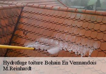 Hydrofuge toiture  bohain-en-vermandois-02110 M.Reinhardt
