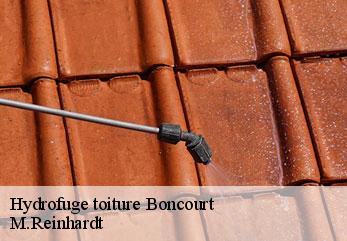 Hydrofuge toiture  boncourt-02350 M.Reinhardt