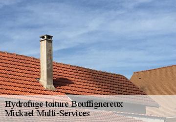 Hydrofuge toiture bouffignereux-02160 Mickael Multi-Services