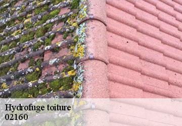Hydrofuge toiture 02160