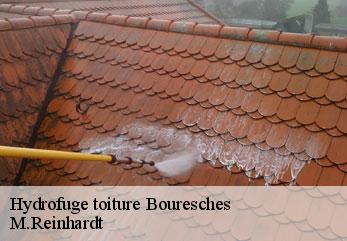 Hydrofuge toiture  bouresches-02400 M.Reinhardt