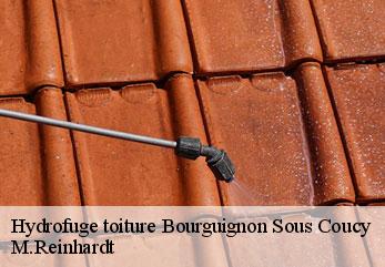 Hydrofuge toiture bourguignon-sous-coucy-02300 M.Reinhardt