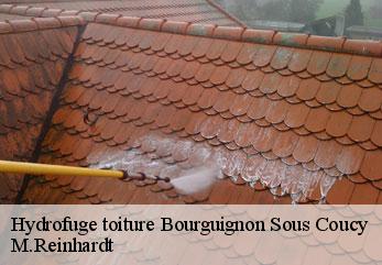 Hydrofuge toiture bourguignon-sous-coucy-02300 M.Reinhardt
