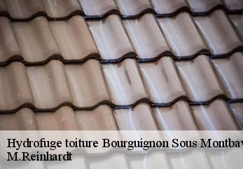 Hydrofuge toiture  bourguignon-sous-montbavin-02000 M.Reinhardt