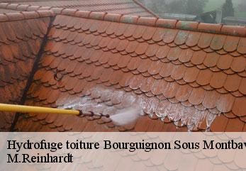 Hydrofuge toiture  bourguignon-sous-montbavin-02000 M.Reinhardt