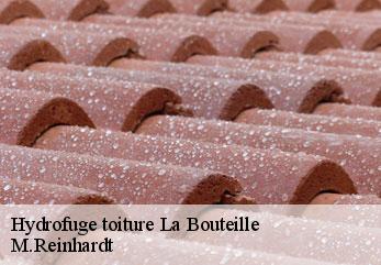 Hydrofuge toiture  la-bouteille-02140 M.Reinhardt