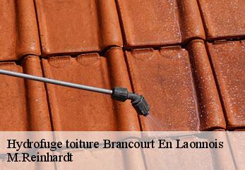 Hydrofuge toiture  brancourt-en-laonnois-02320 M.Reinhardt