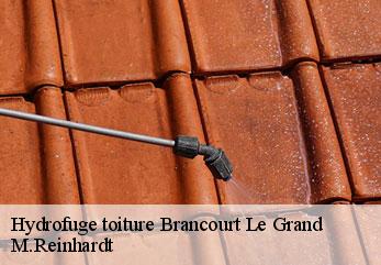 Hydrofuge toiture  brancourt-le-grand-02110 M.Reinhardt