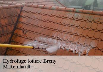 Hydrofuge toiture  breny-02210 M.Reinhardt