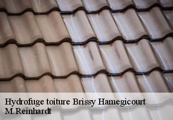 Hydrofuge toiture brissy-hamegicourt-02240 M.Reinhardt