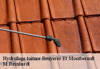 Hydrofuge toiture  bruyeres-et-montberault-02860 M.Reinhardt