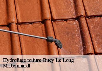 Hydrofuge toiture  bucy-le-long-02880 M.Reinhardt