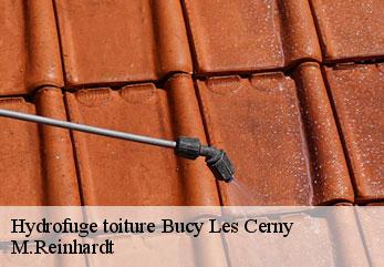 Hydrofuge toiture  bucy-les-cerny-02870 M.Reinhardt