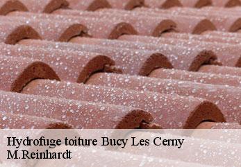 Hydrofuge toiture  bucy-les-cerny-02870 M.Reinhardt