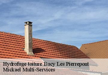 Hydrofuge toiture bucy-les-pierrepont-02350 Mickael Multi-Services