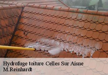 Hydrofuge toiture celles-sur-aisne-02370 M.Reinhardt