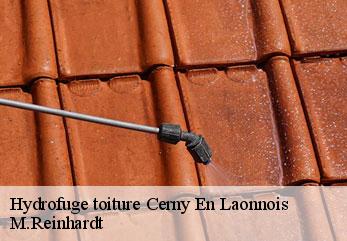 Hydrofuge toiture cerny-en-laonnois-02860 M.Reinhardt