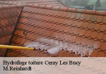 Hydrofuge toiture  cerny-les-bucy-02870 M.Reinhardt