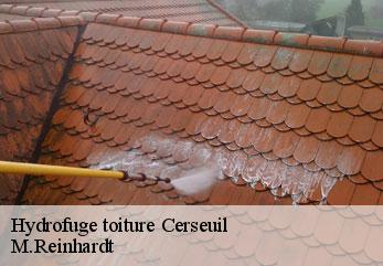 Hydrofuge toiture  cerseuil-02220 M.Reinhardt