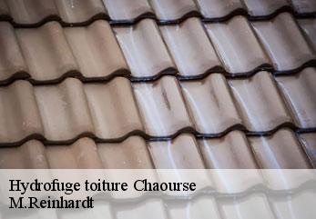 Hydrofuge toiture  chaourse-02340 M.Reinhardt
