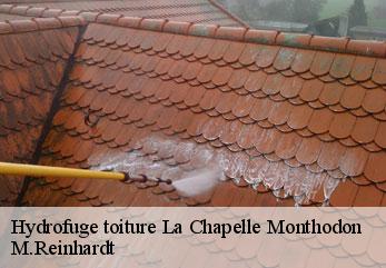 Hydrofuge toiture  la-chapelle-monthodon-02330 M.Reinhardt