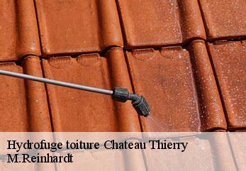 Hydrofuge toiture  chateau-thierry-02400 M.Reinhardt