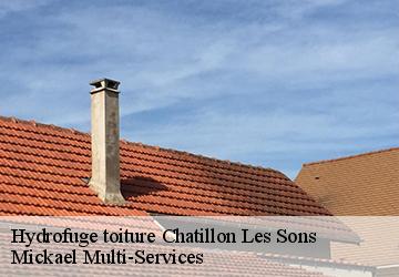 Hydrofuge toiture chatillon-les-sons-02270 Mickael Multi-Services