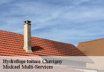 Hydrofuge toiture chavigny-02880 Mickael Multi-Services