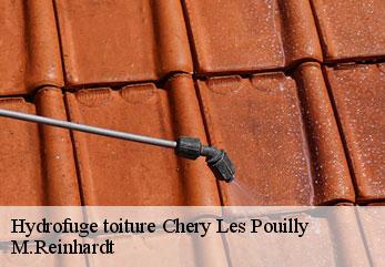 Hydrofuge toiture  chery-les-pouilly-02000 M.Reinhardt